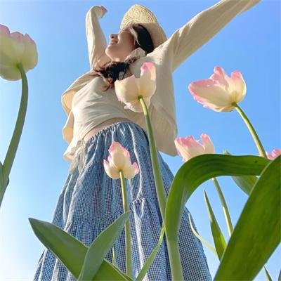 杜鲁门总统传